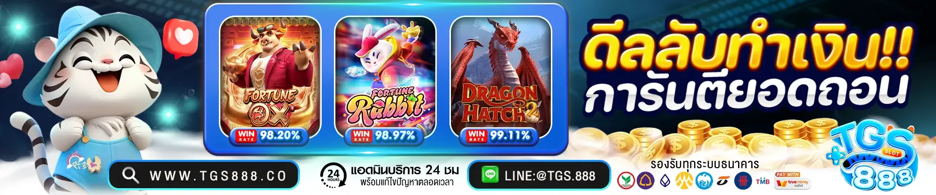tgs888v2